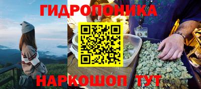 синтетический гашиш Кингисепп
